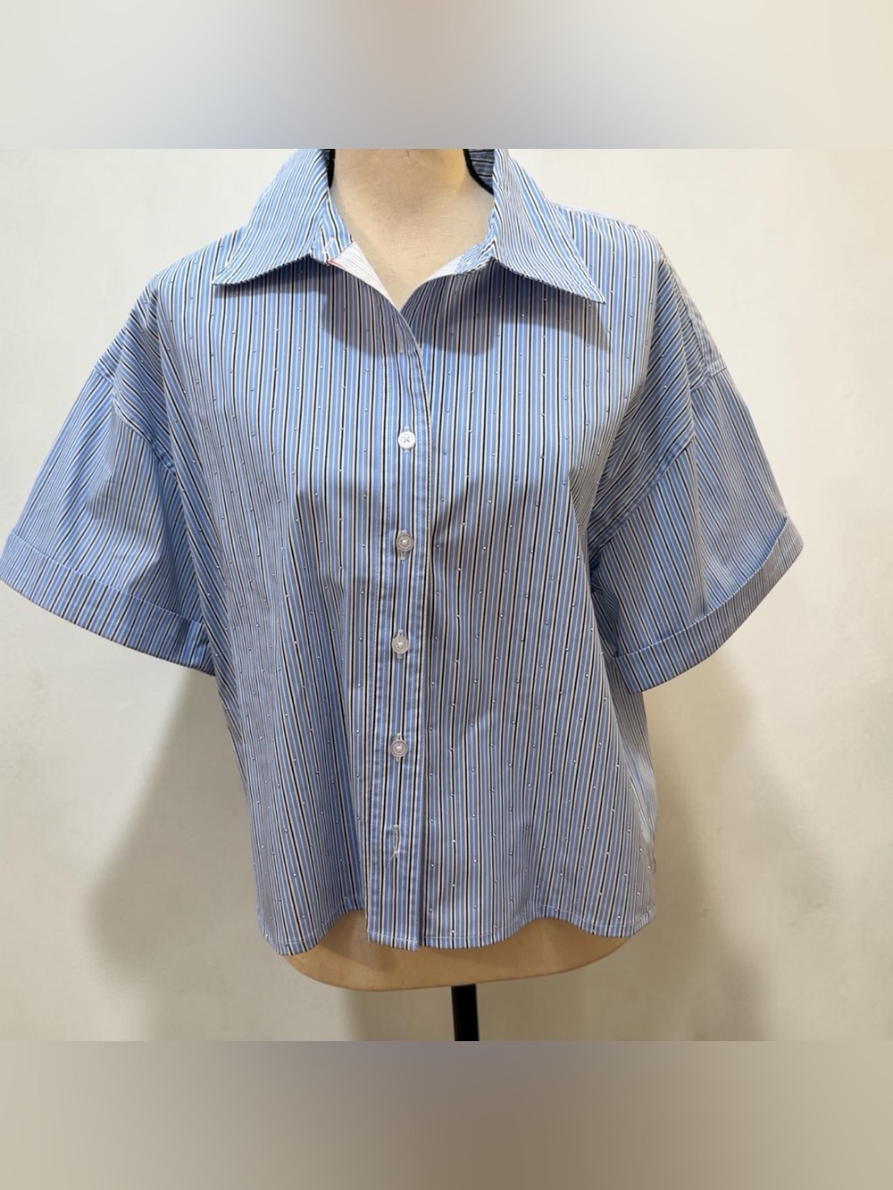 Zac & Rachel Blue/White Pin Stripe Short Sleeve Blouse Sz L NWT